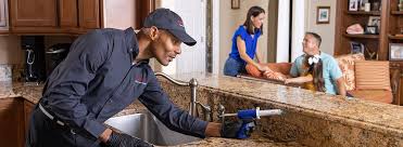 Best Termite Inspection and Treatment  in Merrydale, LA