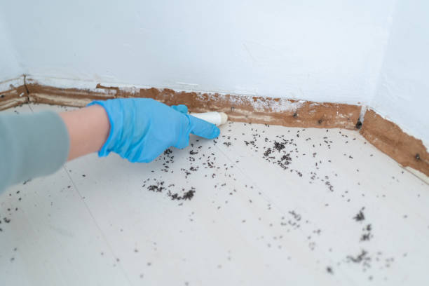 Best Pest Exclusion Services  in Merrydale, LA